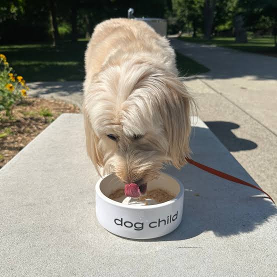 Simple Chopped Chicken Salad Recipe For Dogs