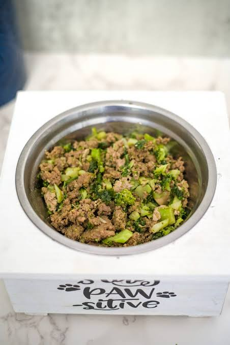 Homemade Ground Beef & Broccoli Dog Food Recipe