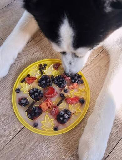Doggie Salmon Lick Mat Recipe