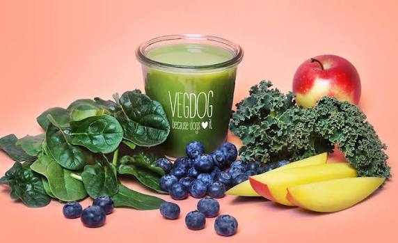 The Doggie Green Smoothie That Helps Boost Immunity